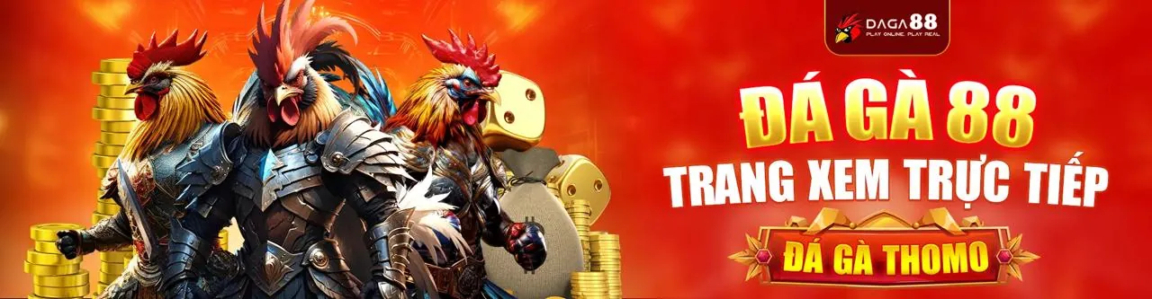 Đá gà trực tuyến ceo666 - Trải nghiệm cá cược đỉnh cao
